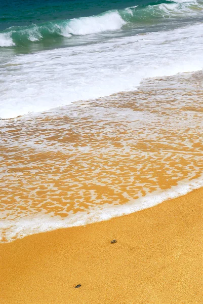Praia do oceano arenoso — Fotografia de Stock