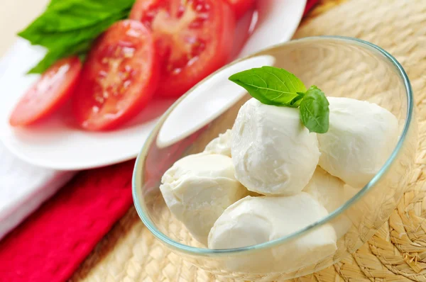Bocconcini Cheese Basil Sliced Tomatoes Ingredients Traditional Italian Cuisine — Stock Photo, Image