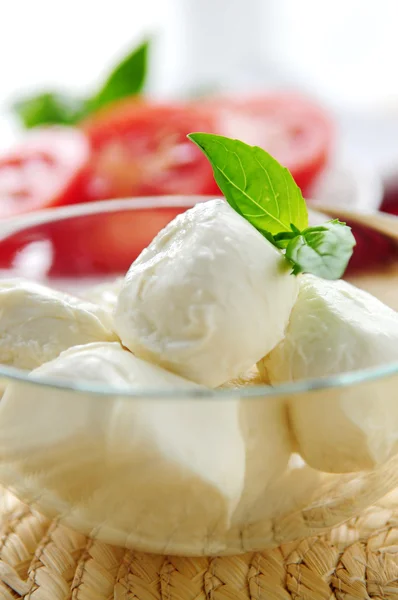 Queijo Bocconcini Manjericão Tomate Fatiado Ingredientes Cozinha Tradicional Italiana — Fotografia de Stock