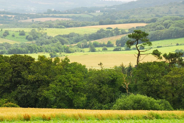 Vue Panoramique Sur Paysage Agricole Bretagne Rurale France — Photo
