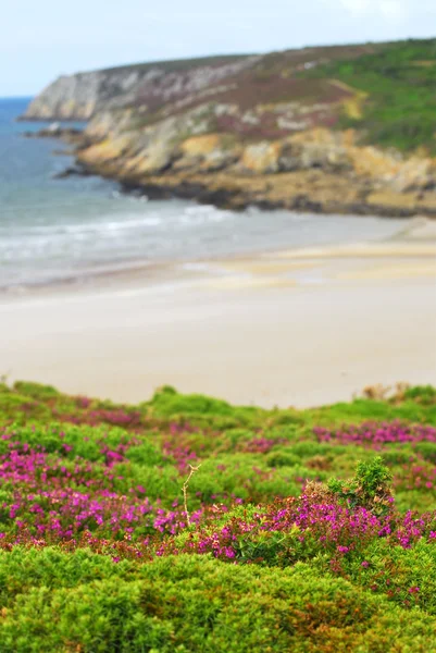 Atlantische kust in Bretagne — Stockfoto