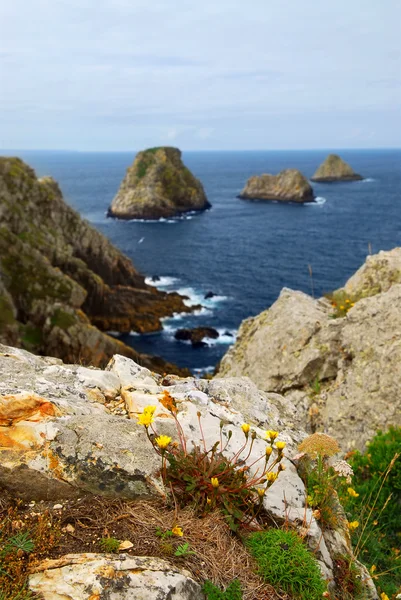 Scenic View Pointe Penhir Atlantic Coast Brittany France — Stock Photo, Image