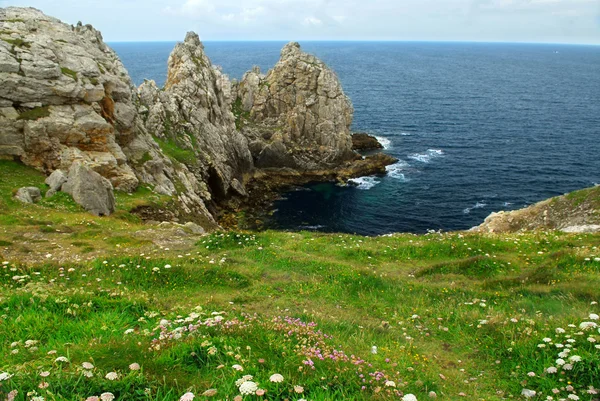 普安特 Penhir 从布列塔尼 法国大西洋沿岸的风景名胜视图 专注于前景中的花 — 图库照片