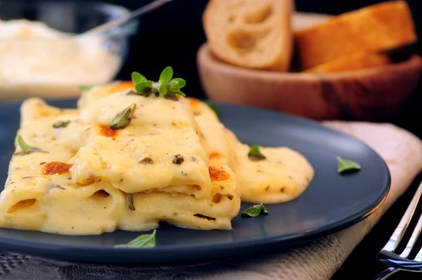 アルフレド ソース添え お皿にチーズのカネロニ パスタ — ストック写真