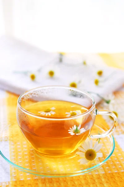 Yatıştırıcı Bitkisel Papatya Çayı Ile Çay Fincanı — Stok fotoğraf