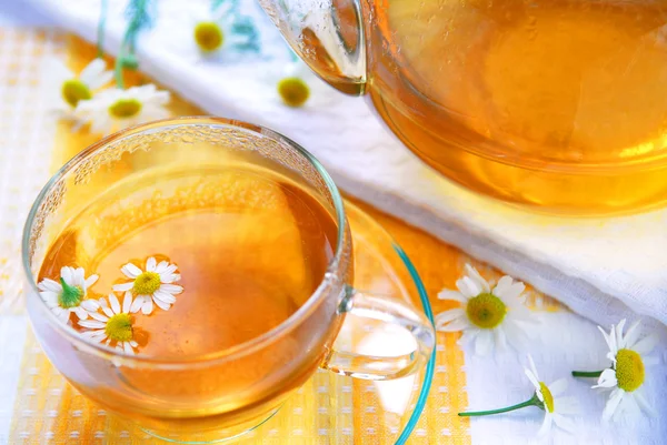 Camomile tea — Stock Photo, Image