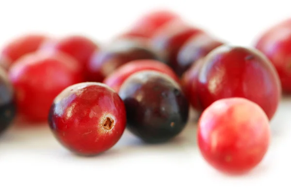Macro Cranberries Vermelho Fresco Fundo Branco — Fotografia de Stock