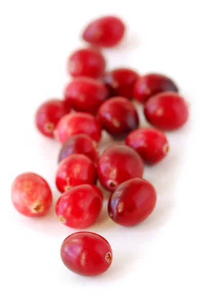 Cranberries macro — Stock Photo, Image