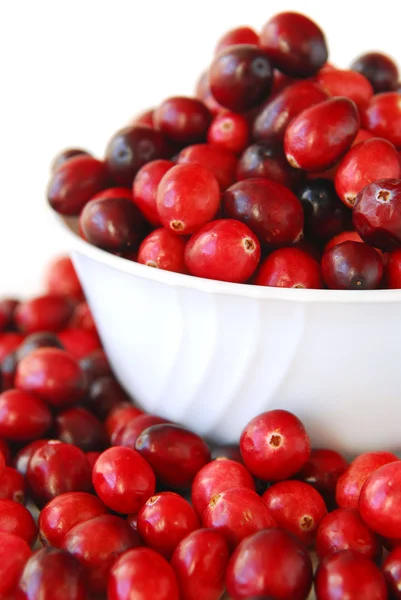 Cranberries Vermelhas Frescas Uma Tigela Fundo Branco — Fotografia de Stock