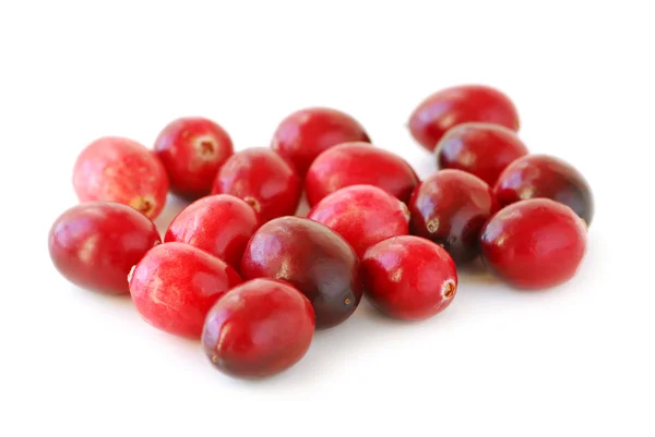 Cranberries macro — Stock Photo, Image