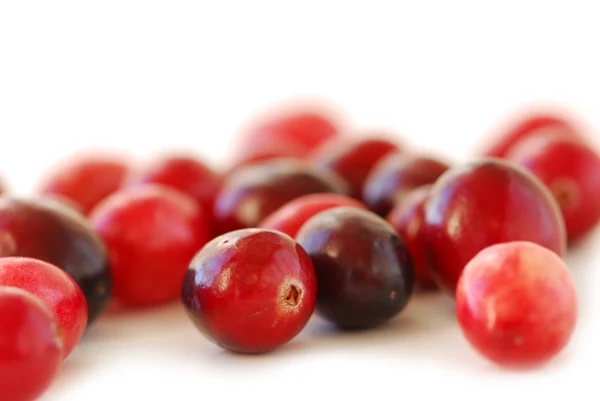 Cranberries makro — Stok fotoğraf