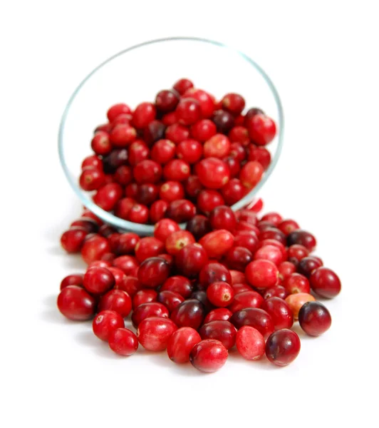 Cranberries Vermelhas Frescas Uma Tigela Vidro Fundo Branco — Fotografia de Stock
