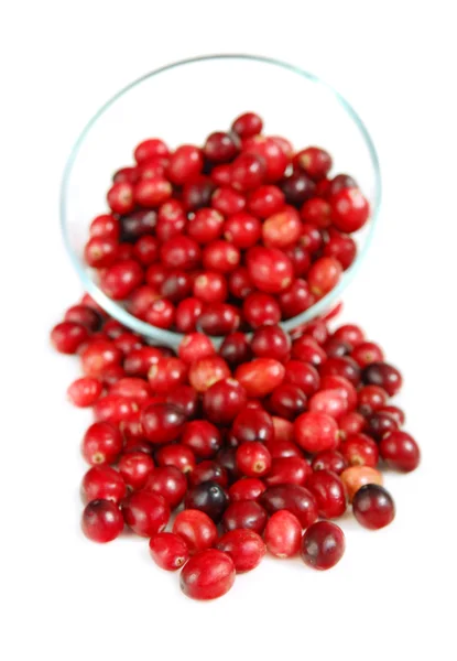 Cranberries em uma tigela — Fotografia de Stock
