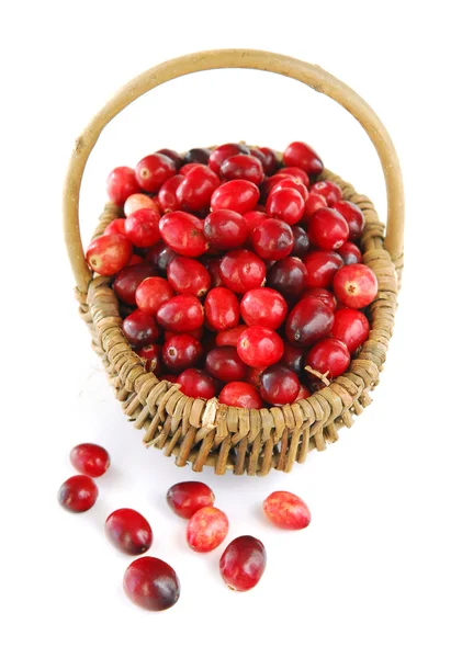 Cranberries em uma cesta — Fotografia de Stock