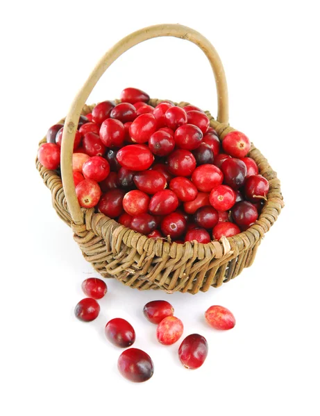 Cranberries Vermelhas Frescas Cesta Fundo Branco — Fotografia de Stock