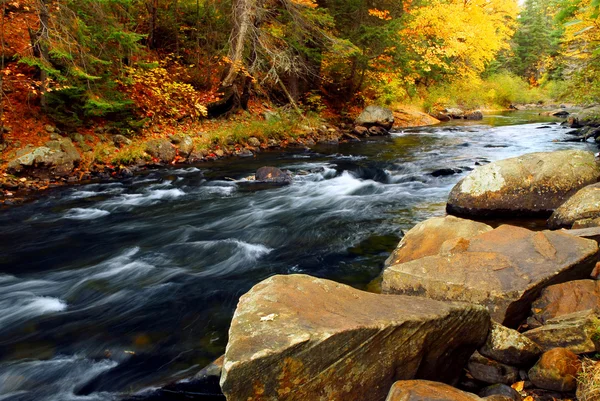 Rivière forestière à l'automne — Photo