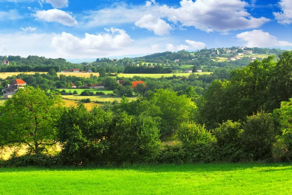 Vue Panoramique Sur Paysage Agricole Estival France Rurale — Photo