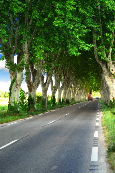 Деревенская Дорога Выложенная Сикаморами Юге Франции — стоковое фото