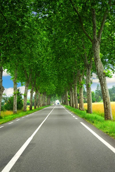 French country road — Stock Photo, Image