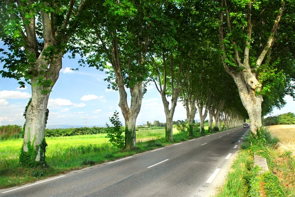 Franse landweg — Stockfoto