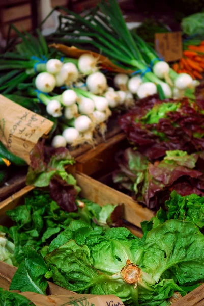 Φρέσκα Λαχανικά Για Πώληση Στην Γαλλική Αγορά Αγροτών Perigueux Γαλλία — Φωτογραφία Αρχείου