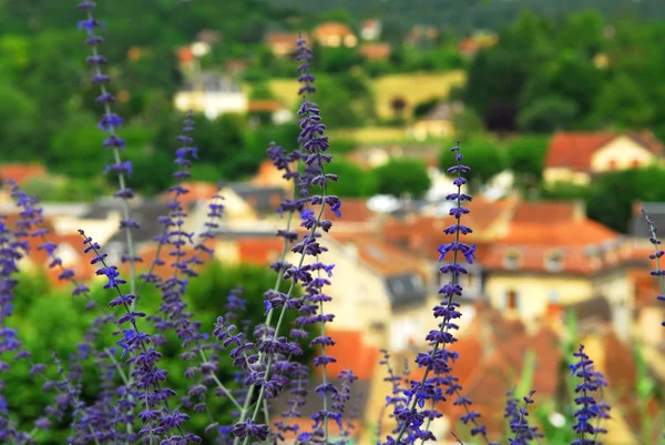 中世纪房屋在撒尔法国多尔多涅河地区 的前景中的蓝色花朵的红色屋顶 — 图库照片