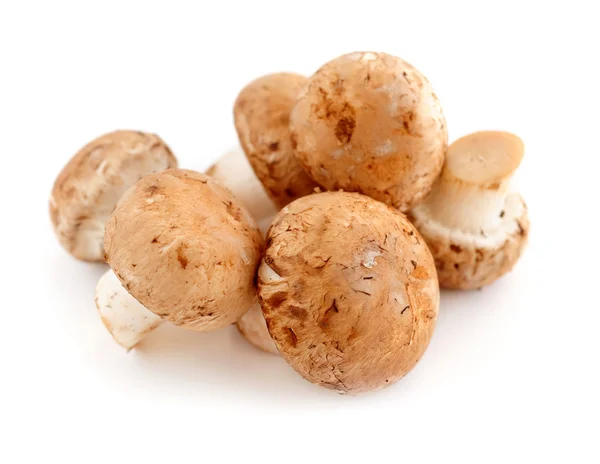 Cogumelos Potrobello Marrom Cremini Jovens Isolados Sobre Fundo Branco — Fotografia de Stock