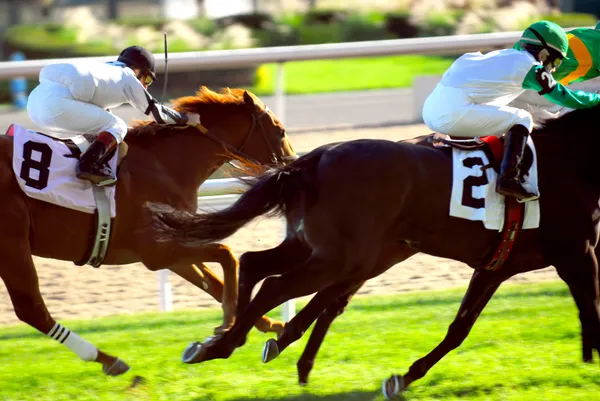 Safkan Atlar Üzerinde Çim Pist Yarış Jockeys — Stok fotoğraf