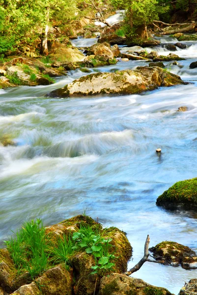 River rapids — Stock Photo, Image