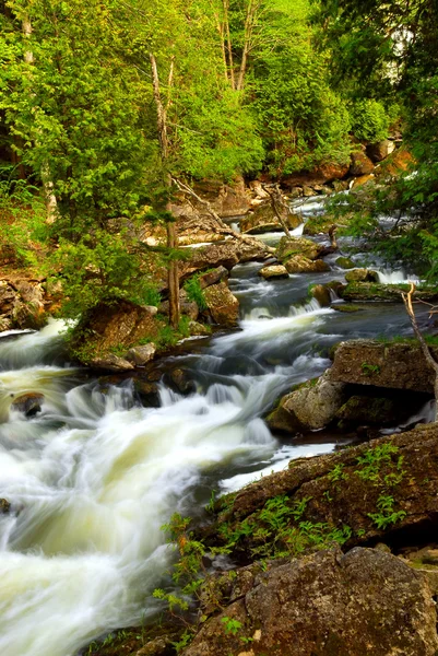 カナダのオンタリオ州の川の急流で岩の間に急いで水 — ストック写真