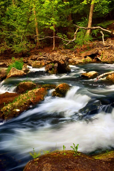 River rapids — Stock Photo, Image