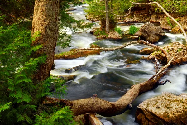 オンタリオ州 カナダの荒野でロッキー川の急流 — ストック写真