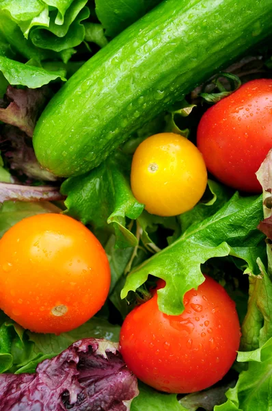 Verschiedenes Frisches Gemüse Tomaten Gurken Grüner Salat — Stockfoto