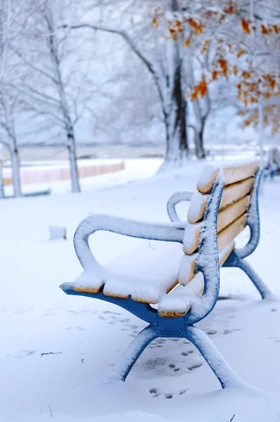 Зимняя Скамейка Покрытая Снегом Пустом Парке Пляжная Зона Торонто Канада — стоковое фото