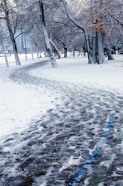 Взимку Парк Рекреаційних Trail Покриті Снігом Пляж Область Торонто Канада — стокове фото