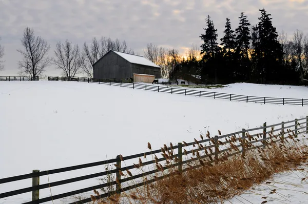 Vidéki téli táj — Stock Fotó