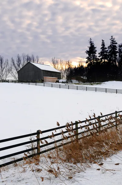 农场与谷仓和马冬季在日落 — 图库照片