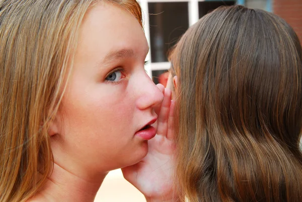 Két Fiatal Tizenéves Lány Pletykálkodás Iskola Udvarán — Stock Fotó