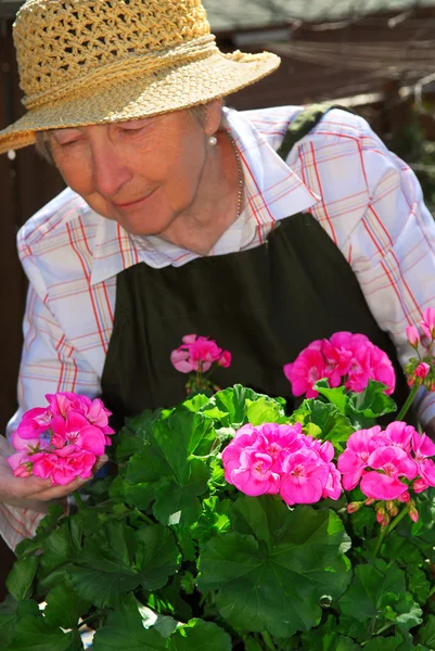 Starszy kobieta ogrodnictwo — Zdjęcie stockowe