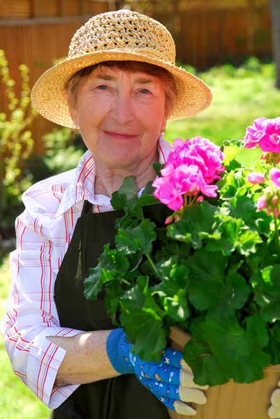 Äldre kvinna trädgårdsskötsel — Stockfoto