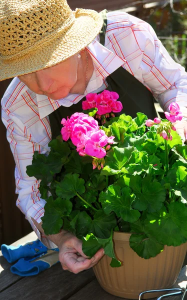 Seniorin bei der Gartenarbeit — Stockfoto