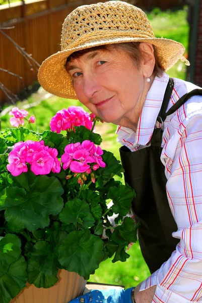 Femme Âgée Avec Pot Fleurs Geranuim Dans Son Jardin — Photo