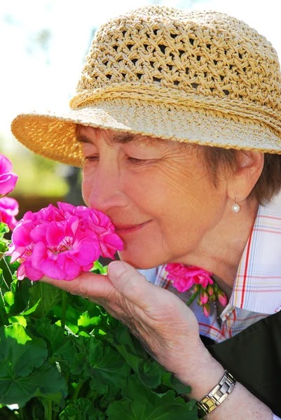Starší žena, zahradnictví — Stock fotografie