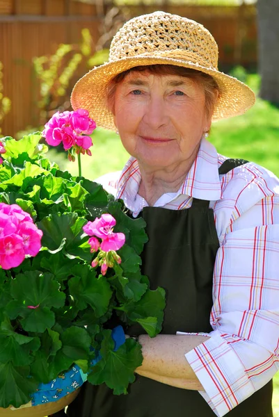 Giardinaggio donna anziana — Foto Stock