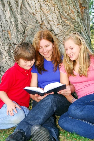 母と子夏の公園の木の下で本を読んでの家族 — ストック写真
