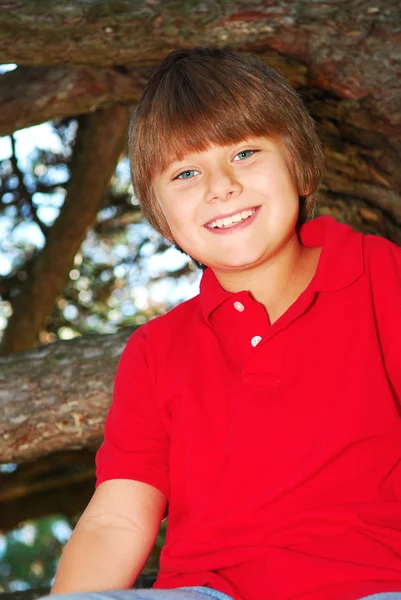 Młody Chłopak Siedzący Gałęzi Drzewa Parku Lato — Zdjęcie stockowe