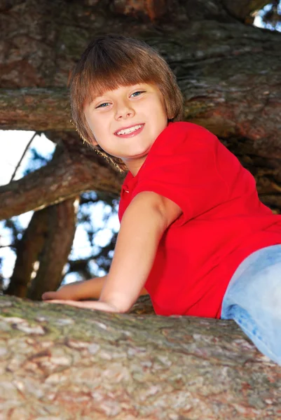 Pojke klättrar upp i ett träd — Stockfoto