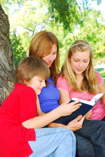一个家庭 母亲和儿童 读一书在一个公园的肖像 — 图库照片