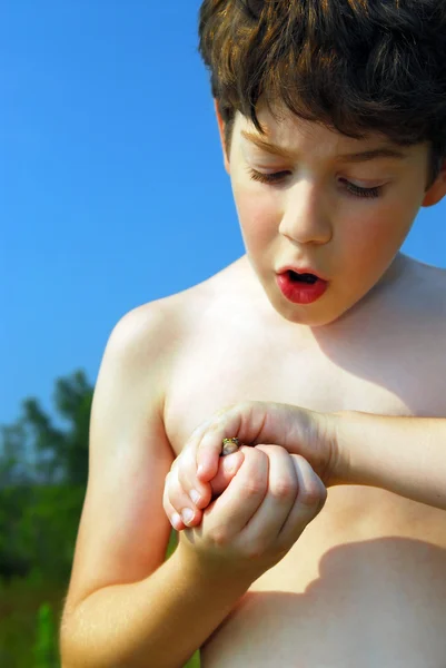 Kleiner Junge Hält Einen Winzigen Frosch Seinen Händen — Stockfoto