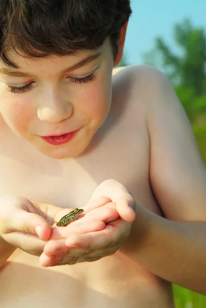 Νεαρό Αγόρι Που Κατέχουν Ένα Μικροσκοπικό Πράσινο Βάτραχο Στα Χέρια — Φωτογραφία Αρχείου
